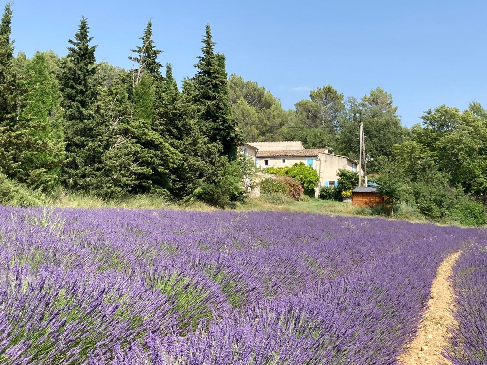 Maison Au Colorado Provencal Сasa de vacaciones Rustrel