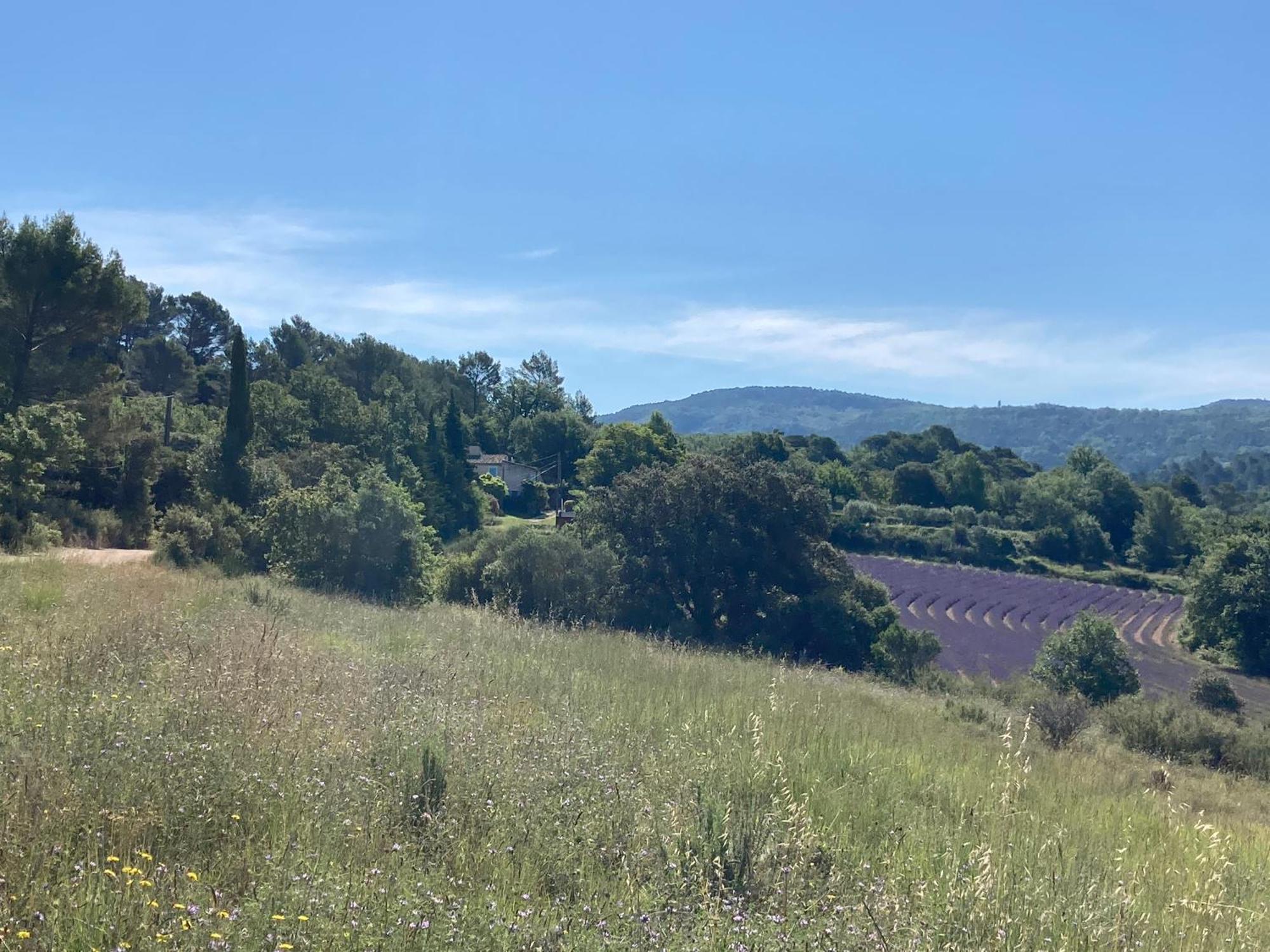 Hébergement de vacances Maison Au Colorado Provencal Rustrel